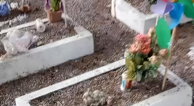 Vandalizzate le tombe dei bambini nel cimitero di Nocera