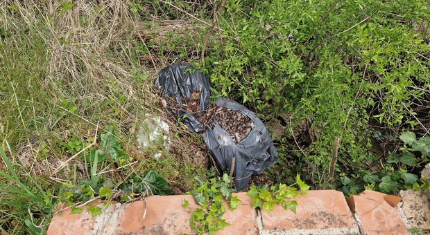 Perugia, la piaga dei rifiuti abbandonati: sacchi anche nei torrenti