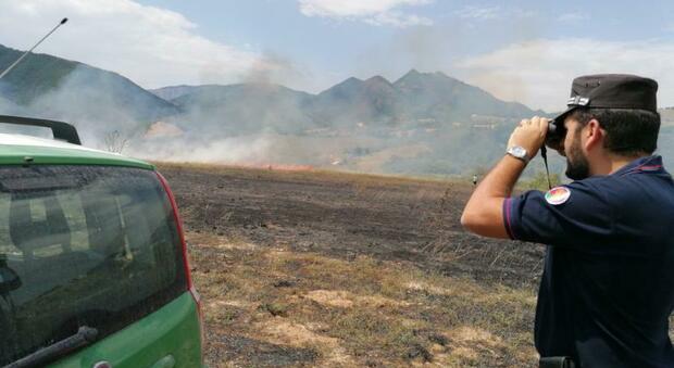 Brucia le stoppie e scatena un incendio in cinque ettari di campo: denunciato anziano agricoltore
