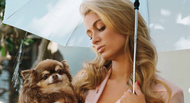 Paris Hilton, morta la cagnolina di 23 anni: «Sono sotto choc, ha riempito la mia vita»