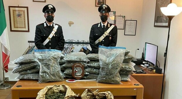 Pontecagnano, sequestrati 41 chili di marijuana nascosta in un pacco