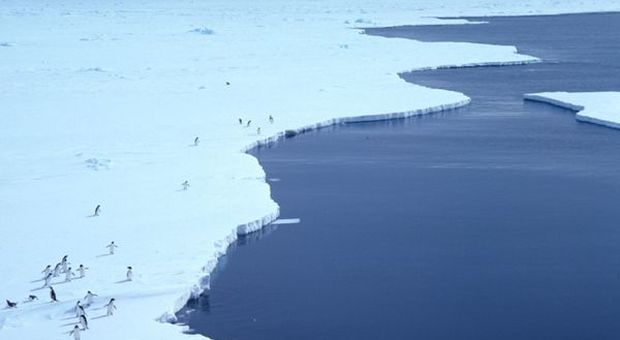 Ambiente, per l'Italia arriva il primo laboratorio sottomarino in Antartide