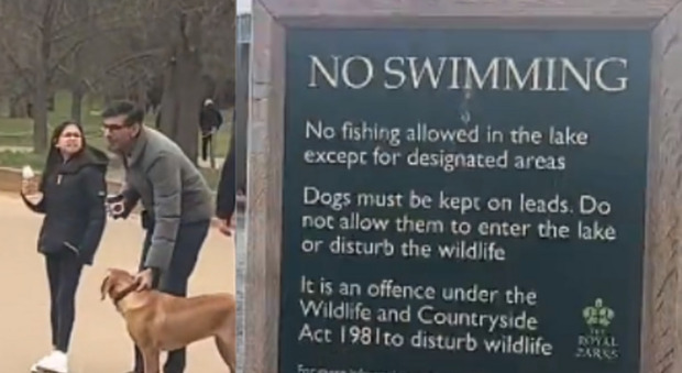 Sunak lascia il cane senza guinzaglio e viene rimproverato dalla polizia: il video del premier inglese è virale