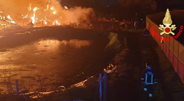 Aprilia, fulmine scatena incendio in un fienile con porcilaia: vigili del fuoco salvano decine di maiali