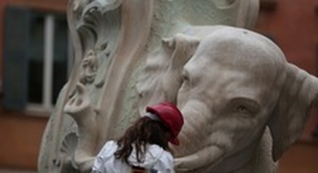 Roma, l'Elefantino ora sorride: torna la zanna mutilata dai vandali