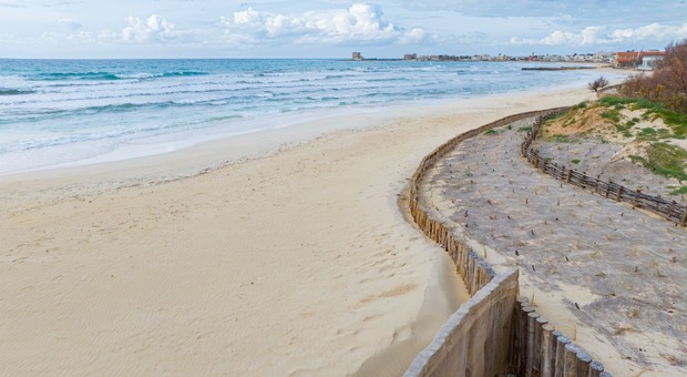 Rubati i pali in legno che proteggono spiagge e dune: furto a Porto Cesareo