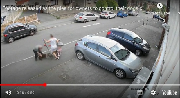 Bambina sul triciclo attaccata da un cane in strada, che viene restituito al proprietario. La polizia: «Attenzione in strada»