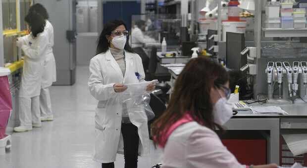 I laboratori di ricerca sugli anticorpi monoclonali