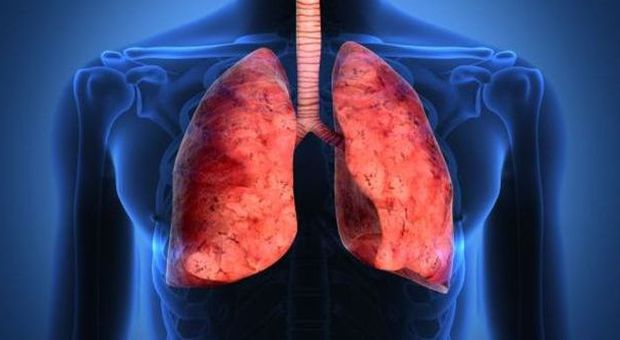 Tumore ai polmoni, ecco il nanofarmaco che fa regredire il cancro -Leggi