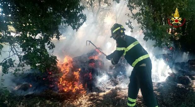 Fieno e sterpaglie in fiamme a Monsano, l'intervento dei vigili del fuoco