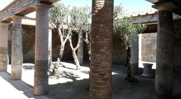 Restyling Pompei, aprono al pubblico la Casa dell'Orso Ferito e la Casa di Sirico