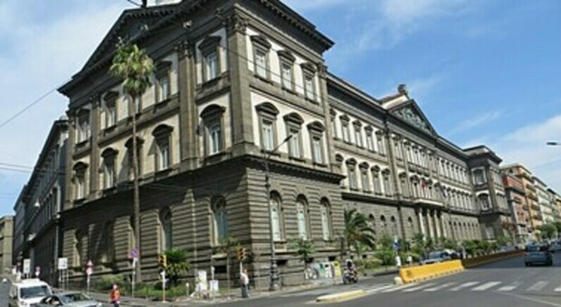 L'università di Napoli Federico II