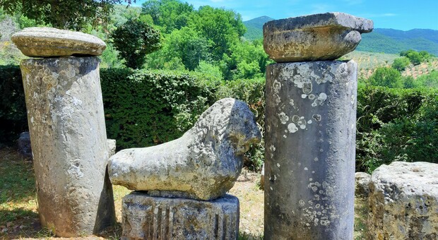 Sulle tracce di San Francesco e Santa Vittoria: archeologia, natura e spiritualità nel cammino da Poggio Moiano a Monteleone Sabino