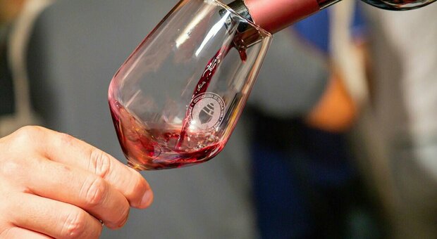 Gambero Rosso, sono 26 i vini pugliesi premiati con i Tre bicchieri
