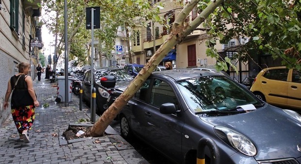 Maltempo a Napoli tra strade esplose, detriti e segnali divelti: danni da uragano ma era un temporale