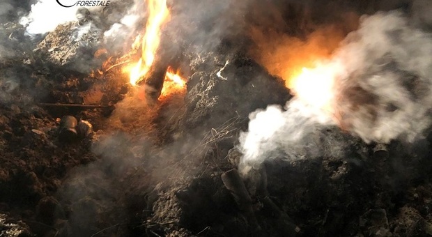 Brucia rifiuti in campagna: denunciato un 71enne