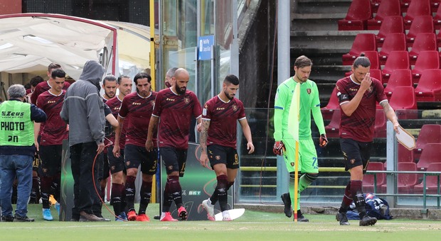 Salernitana in Coppa contro la Samp Castori: «In campo spensierati»