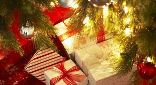 Natale, i vivaisti: 7 italiani su 10 scelgono l'albero mini