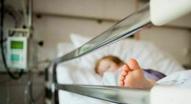 Bambina di 2 anni mangia formaggio di malga e finisce all'ospedale: è in gravi condizioni da due mesi. Indagato il malgaro