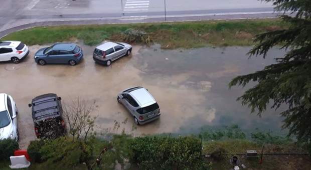 Ascoli, i tombini non funzionano bene: allagati dalla pioggia parcheggi e strade