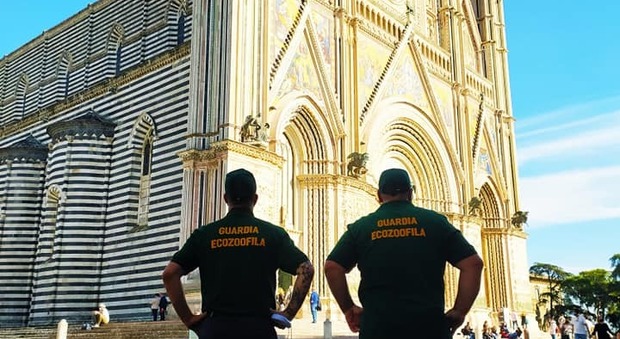 Opera del Duomo, dimissioni in blocco si va verso il commissariamento