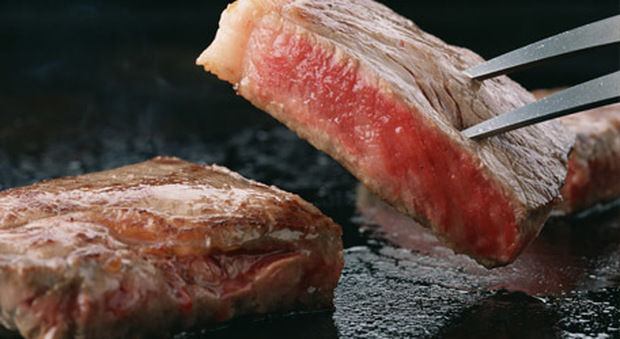 La carne di manzo Kobe