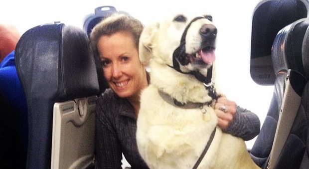 Amanda Weger e il suo cane sull'aereo