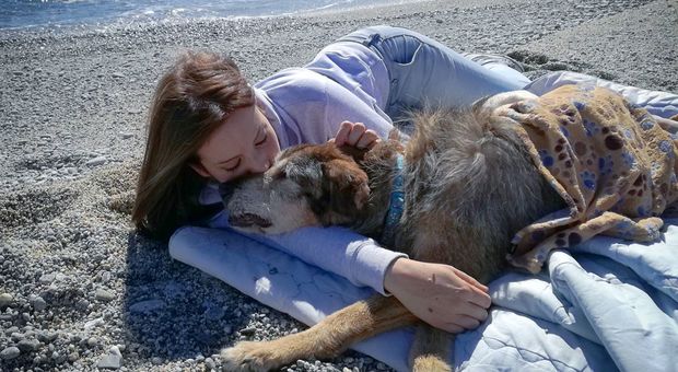 Debora, la volontaria che adotta sempre il cane più anziano del canile: «Ho riscoperto la bellezza del tempo»