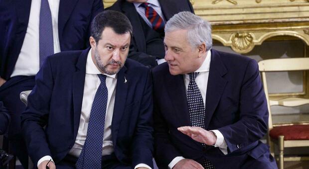 immagine Ius Soli e Scholae, Forza Italia apre e richiama la Lega: «No attacchi tra alleati»