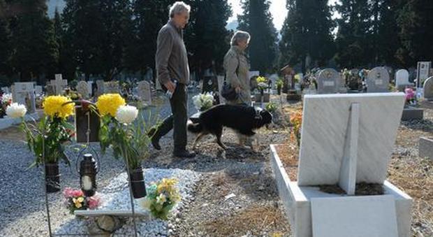 Torino, cadavere dimenticato per 4 anni in un'altra tomba: era in un sacco