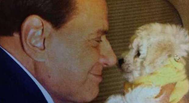 Silvio Berlusconi e Dudù