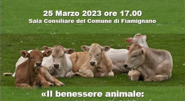Sabato del Villaggio, il benessere animale al centro della conferenza a Fiamignano