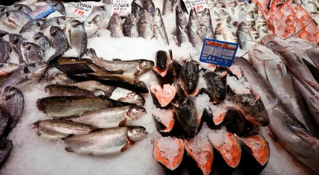 Mangia del pesce non cotto bene: un'infezione la manda in fin di vita. «Amputati tutti e quattro gli arti»