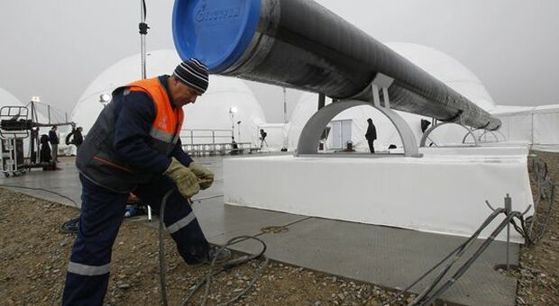 Nord Stream 2 nega di aver iniziato procedura di insolvenza