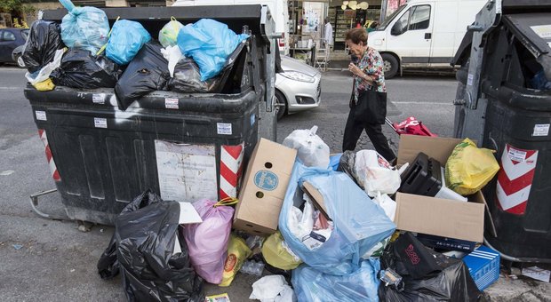 Roma, emergenza rifiuti: topi e blatte per le strade