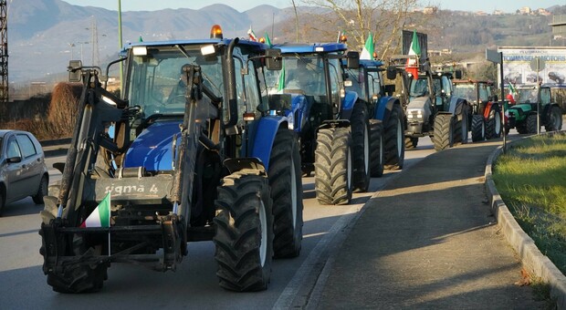 immagine Ue, cambio di passo anche per l'agricoltura: stop alle «euro follie»