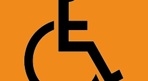 immagine Le norme che regolano il diritto
all'assegno o all'invalidità civile
