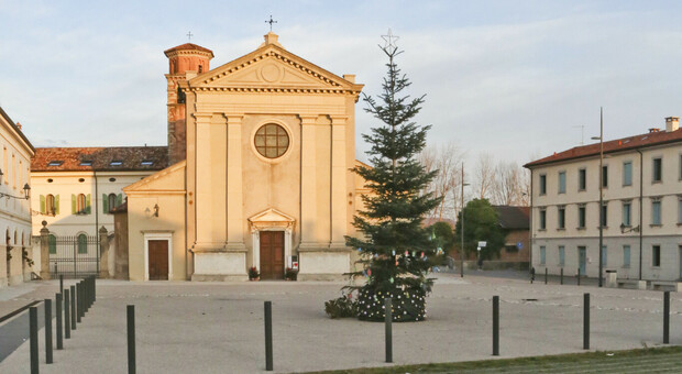 L'albero di Natale in piazza Meschio a Vittorio Veneto