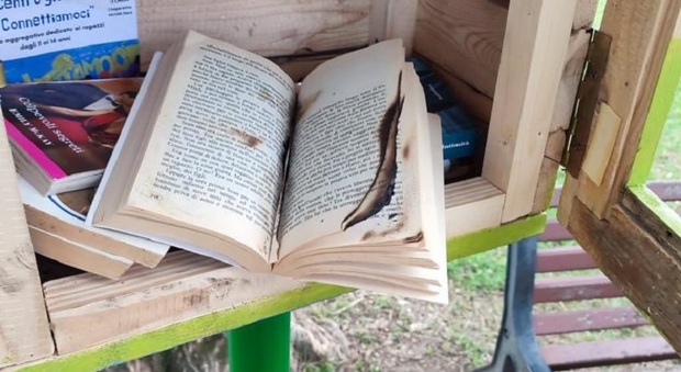 Vandali a Cordignano danno fuoco ai libri e distruggono la casetta che li custodiva: caccia ai colpevoli