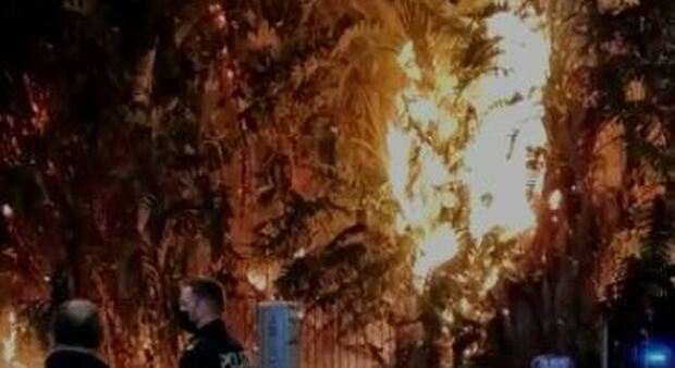 Incendio villa comunale, Maresca: «È strategia criminale»