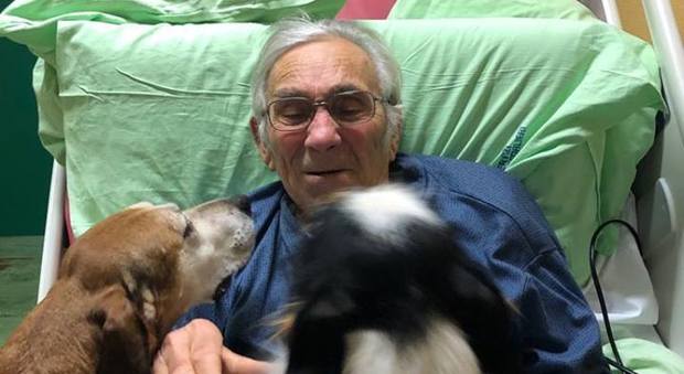 Elvio Donattini e i suoi cani (foto dal profilo Facebook dell'Asl di Imola)
