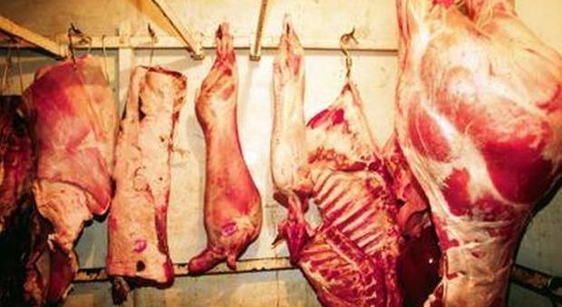 I carabinieri chiudono macelleria e sequestrano 40 chili di carne