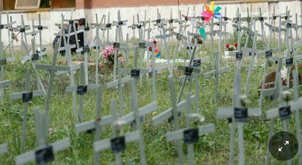 Cimitero dei feti al Flaminio: multa da 400mila euro ad Ama e Comune di Roma