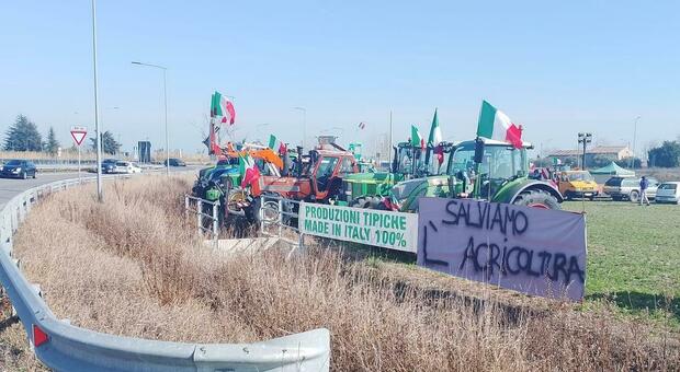 Duecento trattori oggi marciano su Fano: «Rivendichiamo la dignità del lavoro e il giusto prezzo dei prodotti agricoli». Disagi al traffico. Nella foto, il presidio di ieri vicino al casello dell'A14