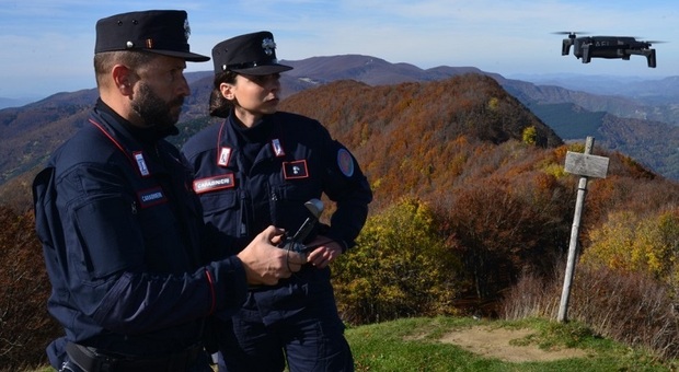 Le stazioni carabinieri forestale assumono la nuova denominazione di nucleo