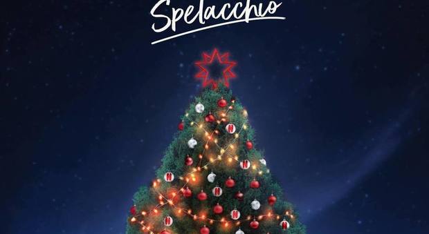 «Spelacchio is back in Roma», l'annuncio di Virginia Raggi. Ecco come sarà il nuovo albero di Natale