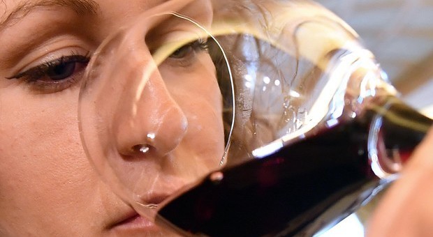 Alcol, con oltre 5-6 bicchieri a settimana sale il rischio morte