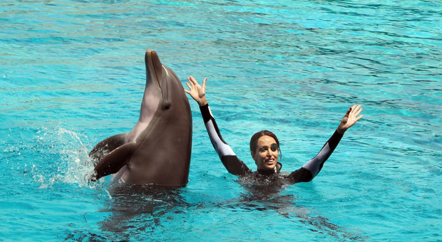 Gessica Notaro è tornata a nuotare con i delfini di Oltremare a Riccione. Fan da tutta Italia: «Un grande esempio per tutti»