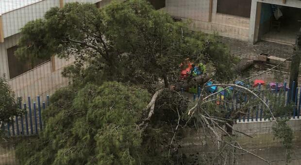 Vento forte in Puglia: alberi caduti e auto distrutte. A Bari saltano i tombini della fogna