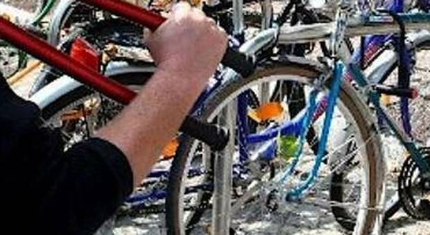 Ladro di biciclette «incastrato» dal furto di una scala da lavoro